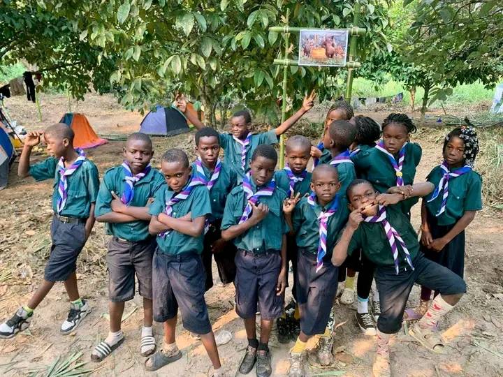 Des louveteaux font des grimaces